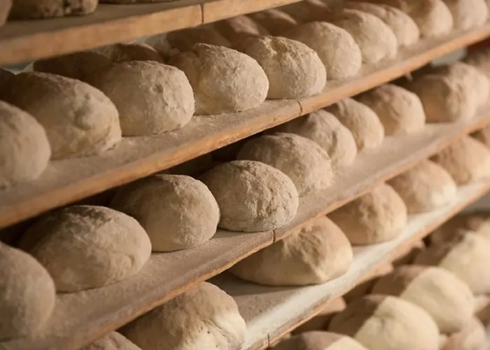 Ramsteinerhof Fischerbach